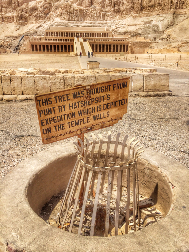 The Ancient Egypt The entrance and the first courtyard of Hatshepsut's