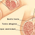 Here's How Excessive Masturbation Can Affect Your Health And Sexual Life