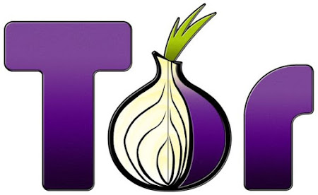Tor browser update linux mega планшета браузер тор для андроид mega2web