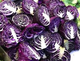 Experimento Académico: El Repollo Indicador ( Ácido en los alimentos)