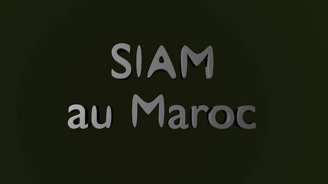 Salon International de l’Agriculture (SIAM) – Au maroc