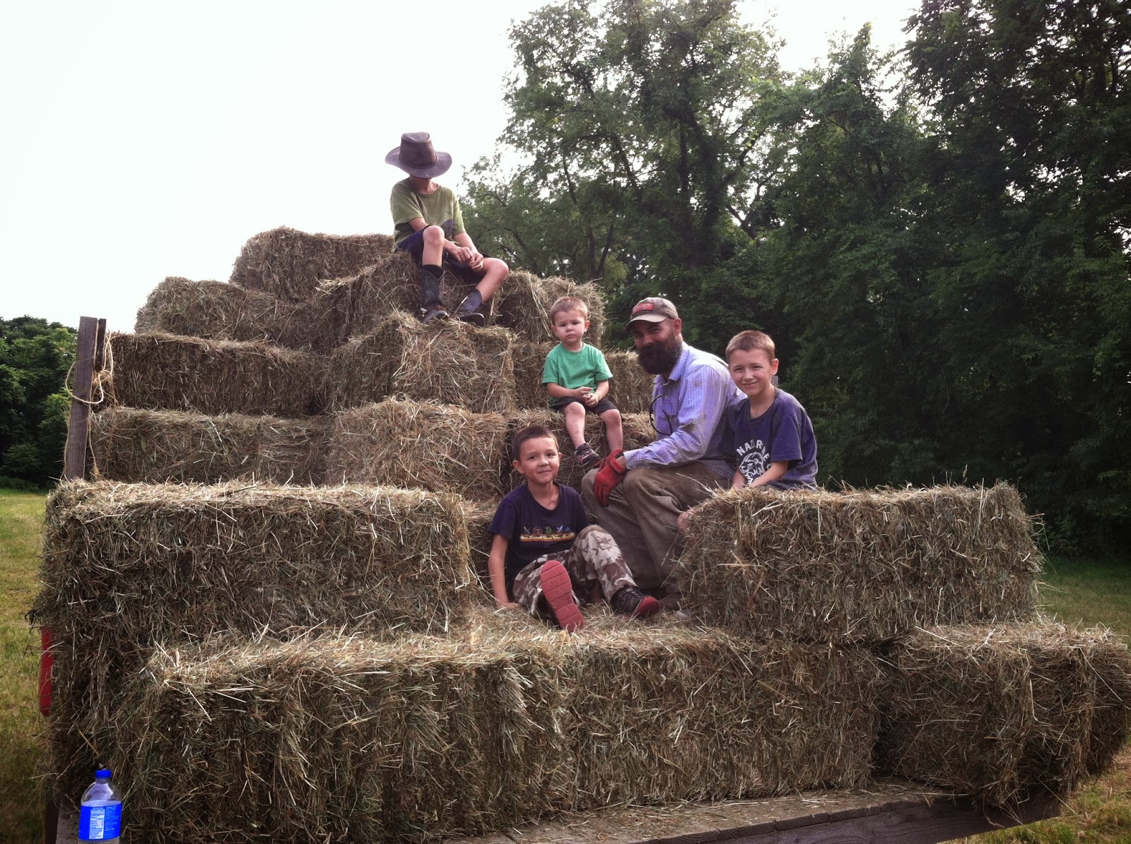 *My Father's Sheep* 2014 Hay Season