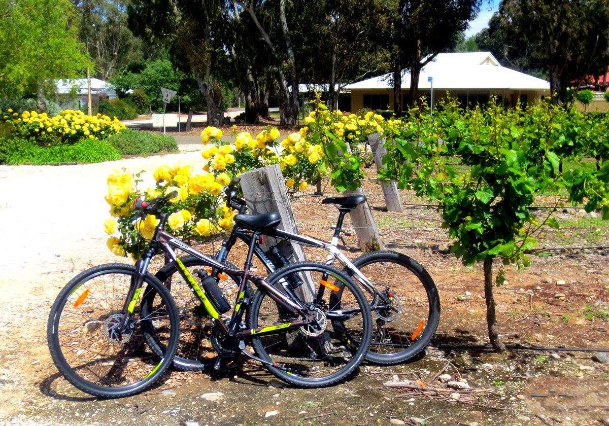 bike holiday