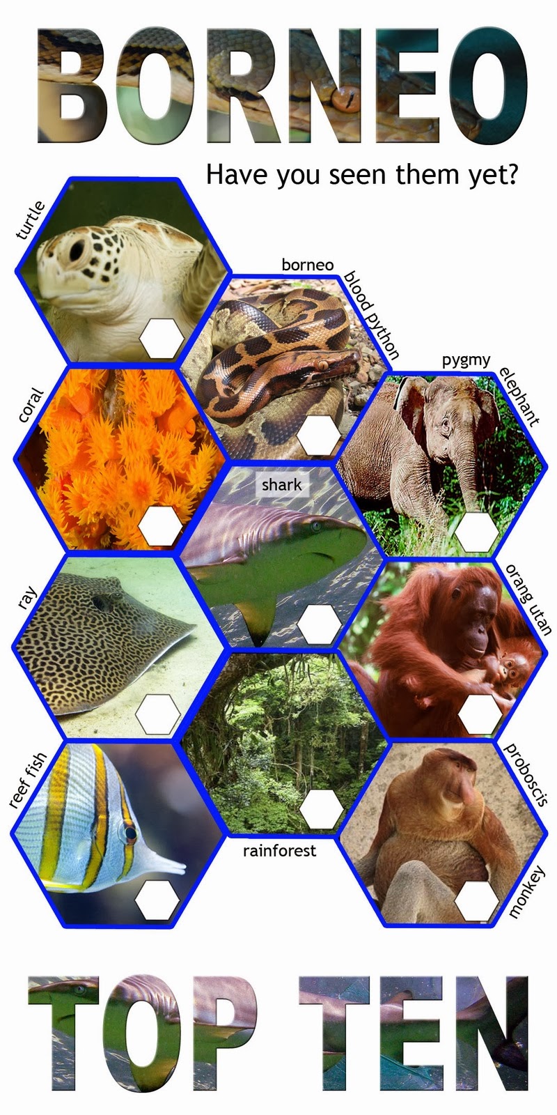 Threatened prehistoric paradise reveals its secrets Borneo top ten