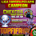 chexco4 CAMPEÓN de Liga TopFIFA Oro PS3 | Ape015