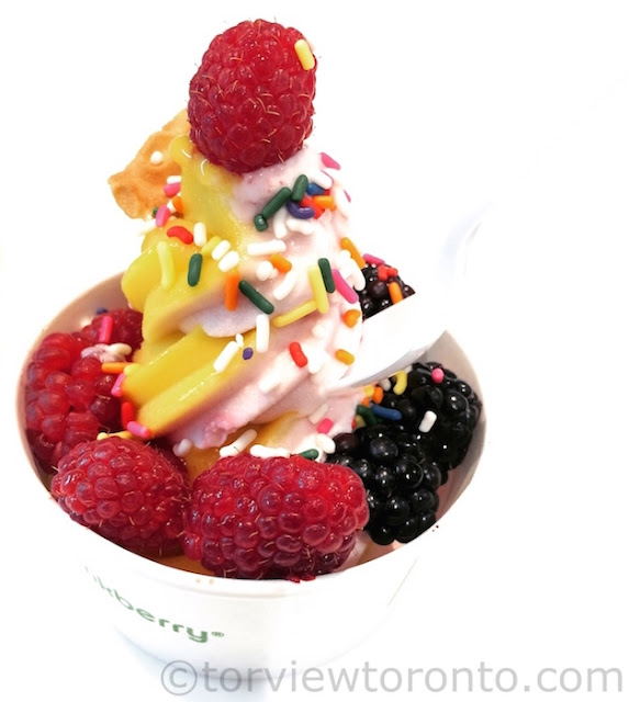 Torviewtoronto Pinkberry Frozen Yogurt Has Arrived in Ontario