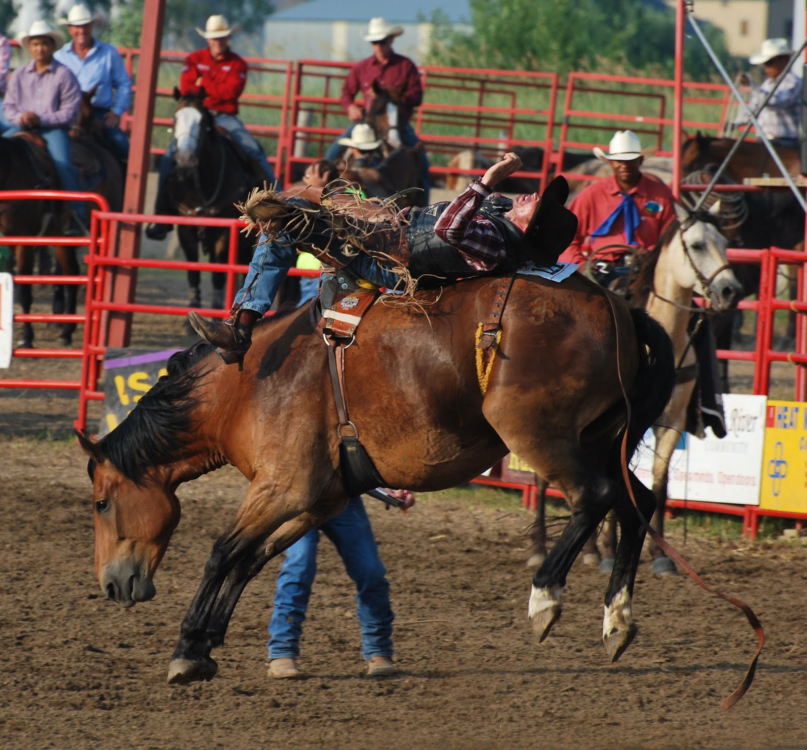 Divine Country Blessings Isanti County Rodeo