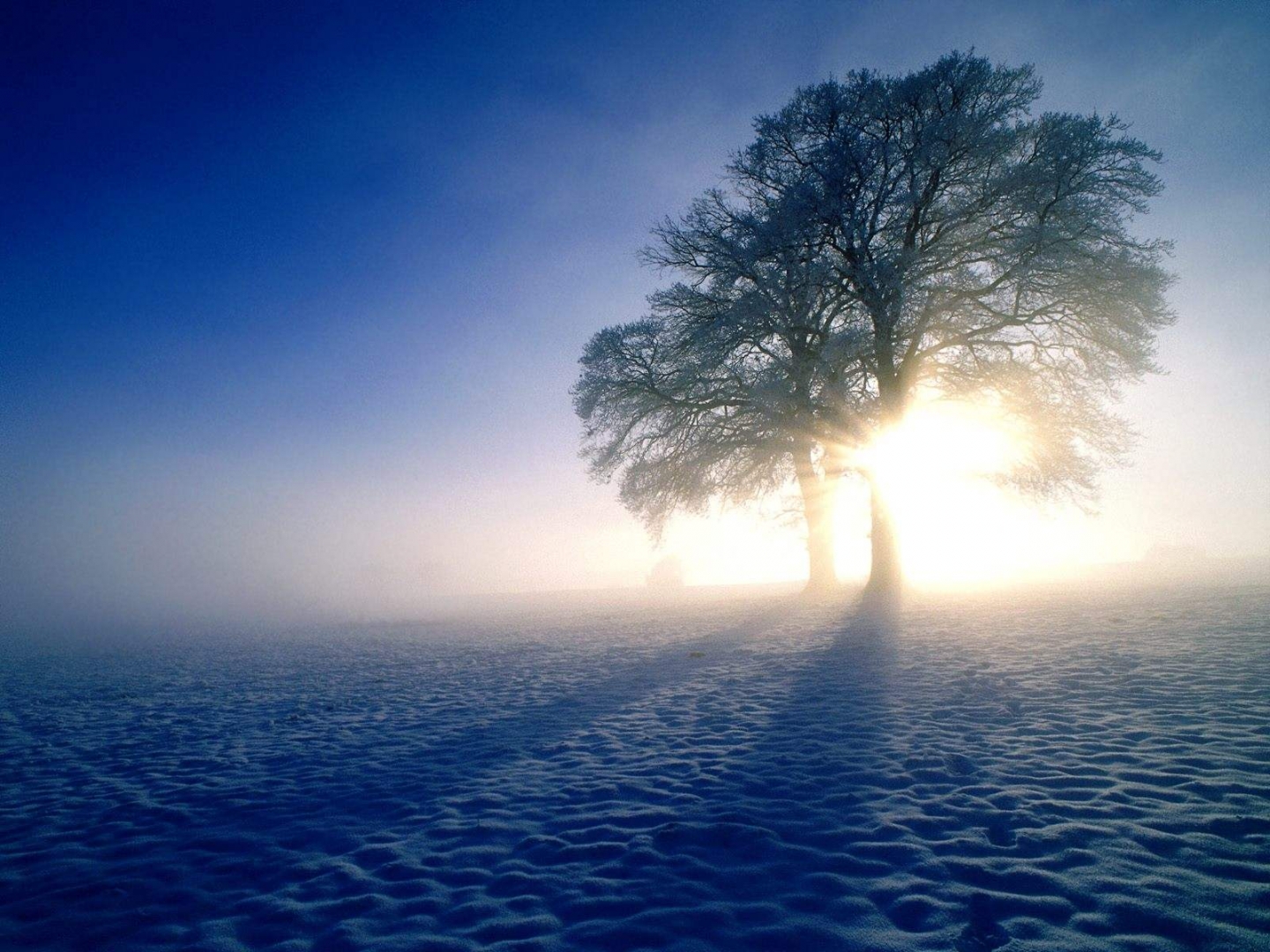 http://4.bp.blogspot.com/-Nc-ZylZ5S4M/Tz5Or2Rg4jI/AAAAAAAADFs/OC_0kJ_b-iY/s1600/1440_winter_morning_wallpaper.jpg