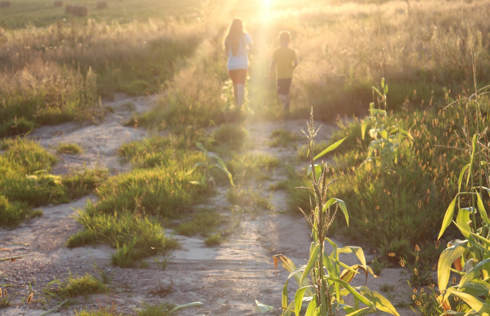 волшебные дни августа