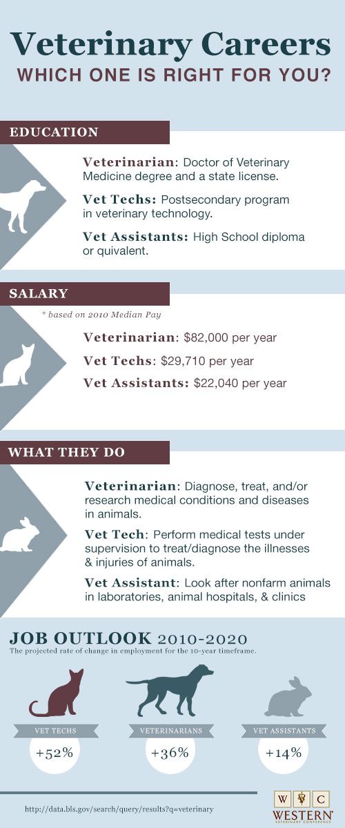 Veterinary Medicine In The United States How Many Years Is Vet Tech