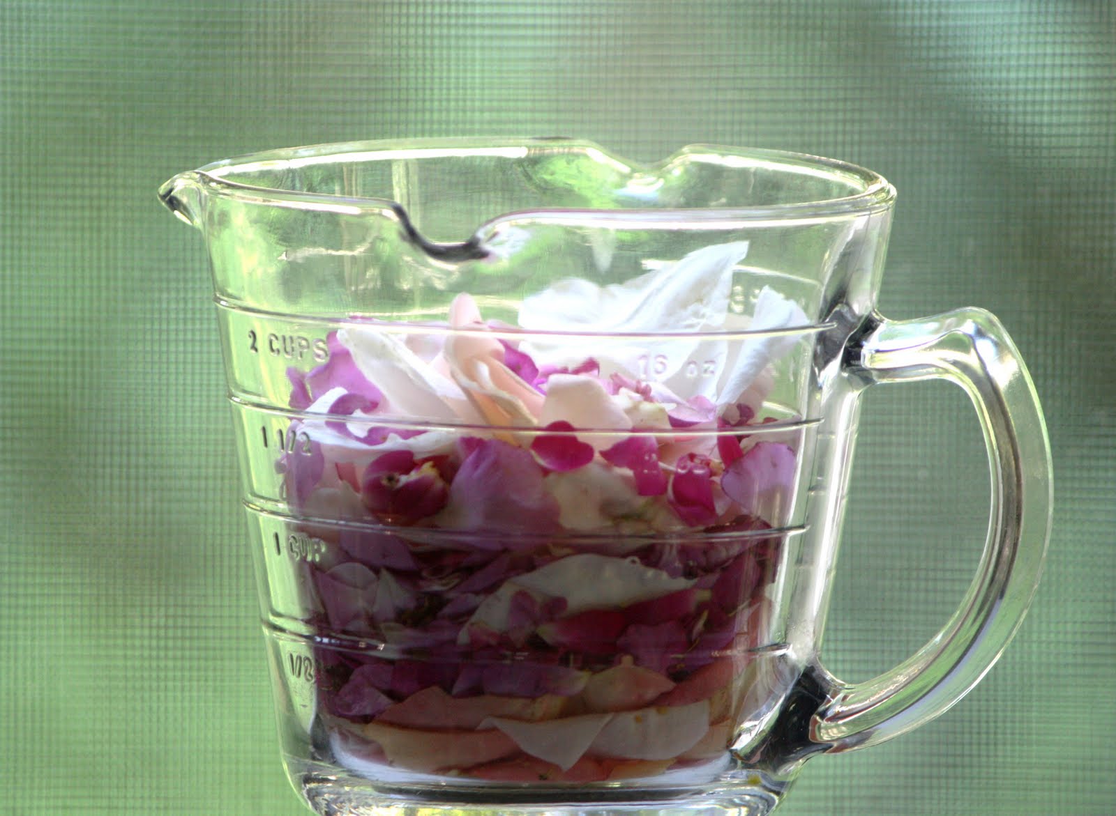 What's Cooking in your World? Day 143! Poland Pączki Polish Donuts