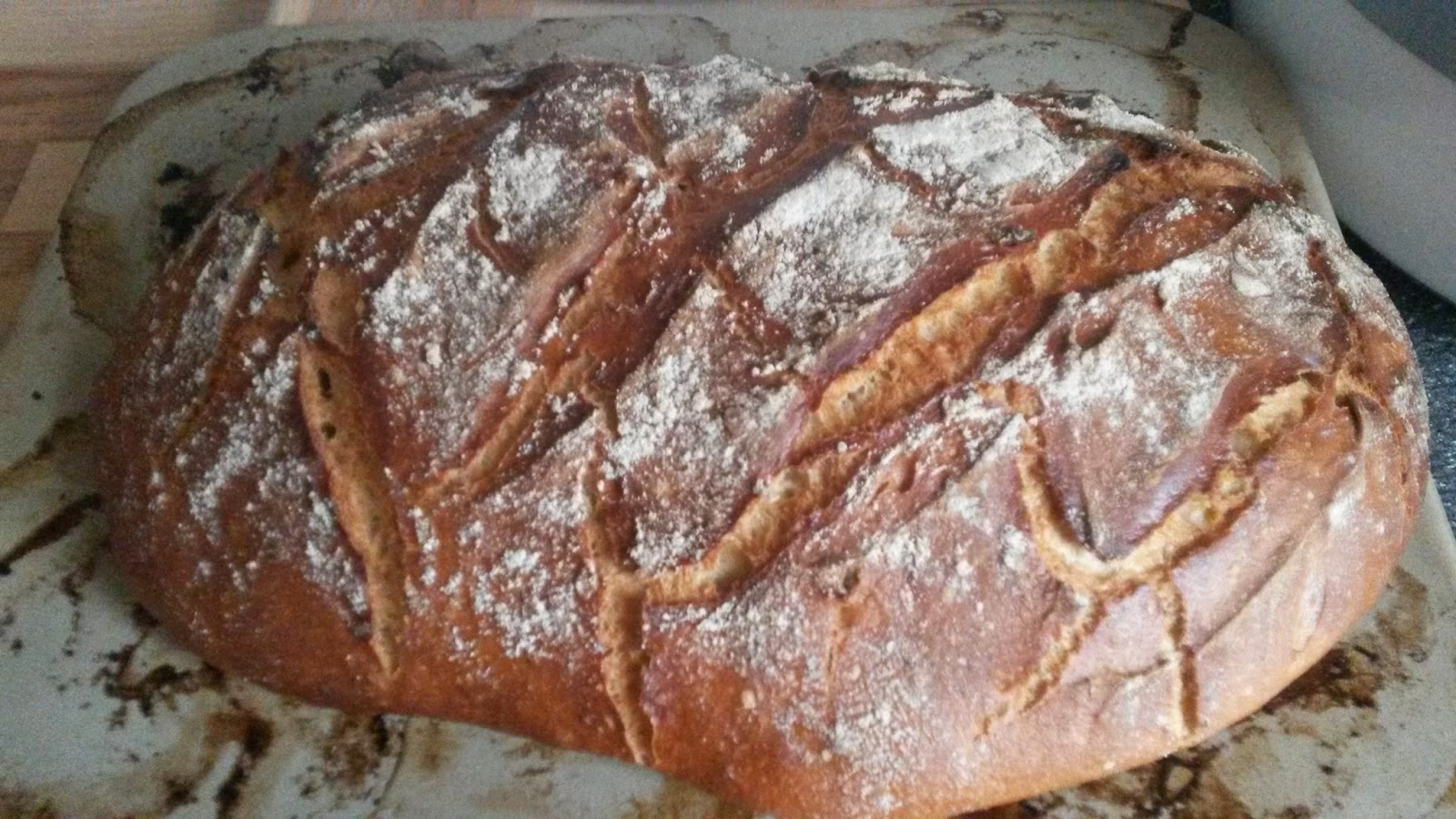 Drea´s TM und ActiFry Rezepte-Welt: Dinkel-Roggen Brot