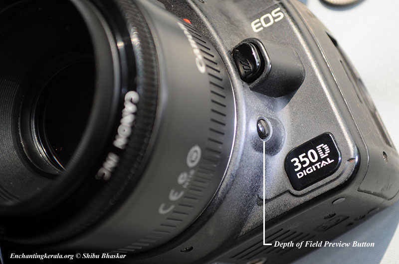 School Of Digital Photography Lens Reverse Ring for Macro Photography