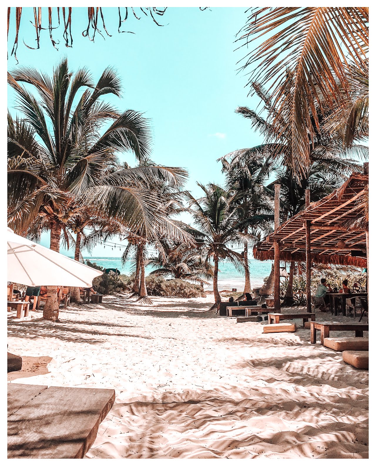 du sable blanc fin au premier plan et des palmiers au fond avec l'eau turquoise de la plage de tulum face à la mer dans le sable sont disposés des tables en bois avec des morceaux de troncs pour s'asseoir et des gens sont attablés au restaurant agusto à tulum