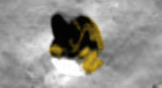 Misterioso objeto Misterioso objeto
