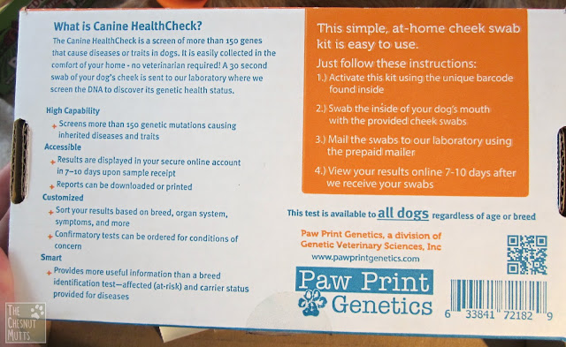 simple, at-home cheek swab kit for dog genetic screening