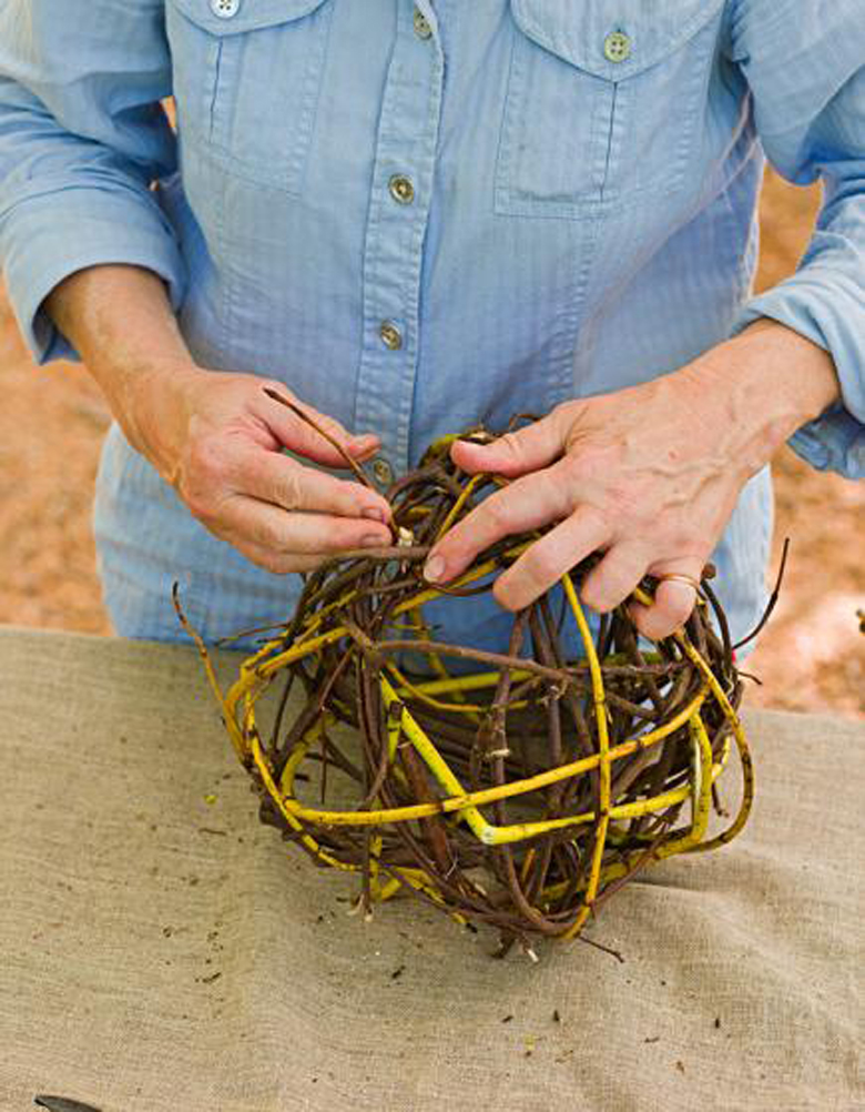 How to Make a Sphere from Dogwood Cuttings