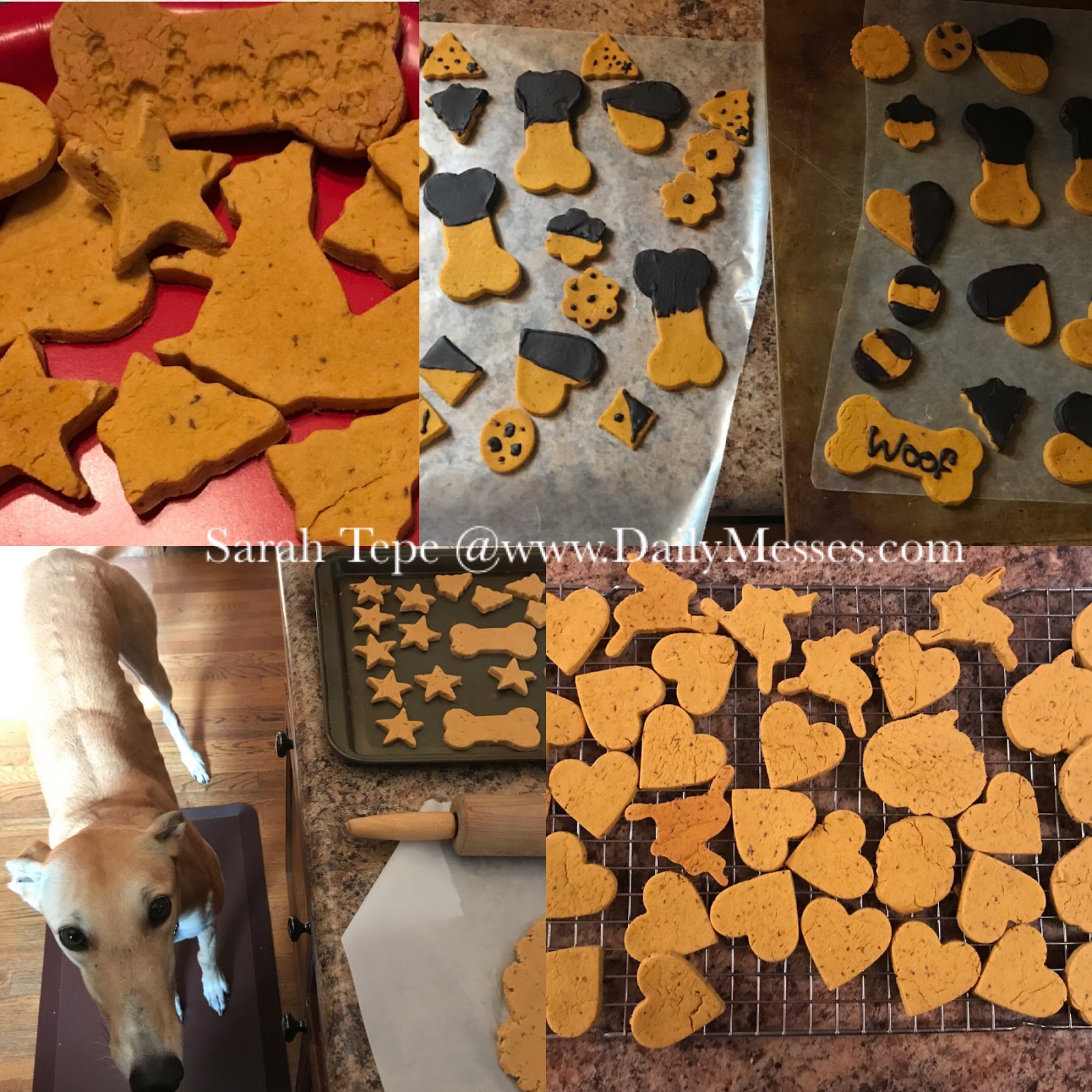 Daily Messes Peanut Butter Pumpkin Dog Biscuits