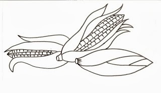 desenho de milho para pintar