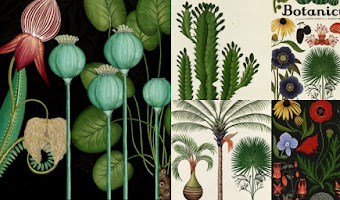 Botanicum. Viaje a través de la botánica con ilustraciones de Katie Scott