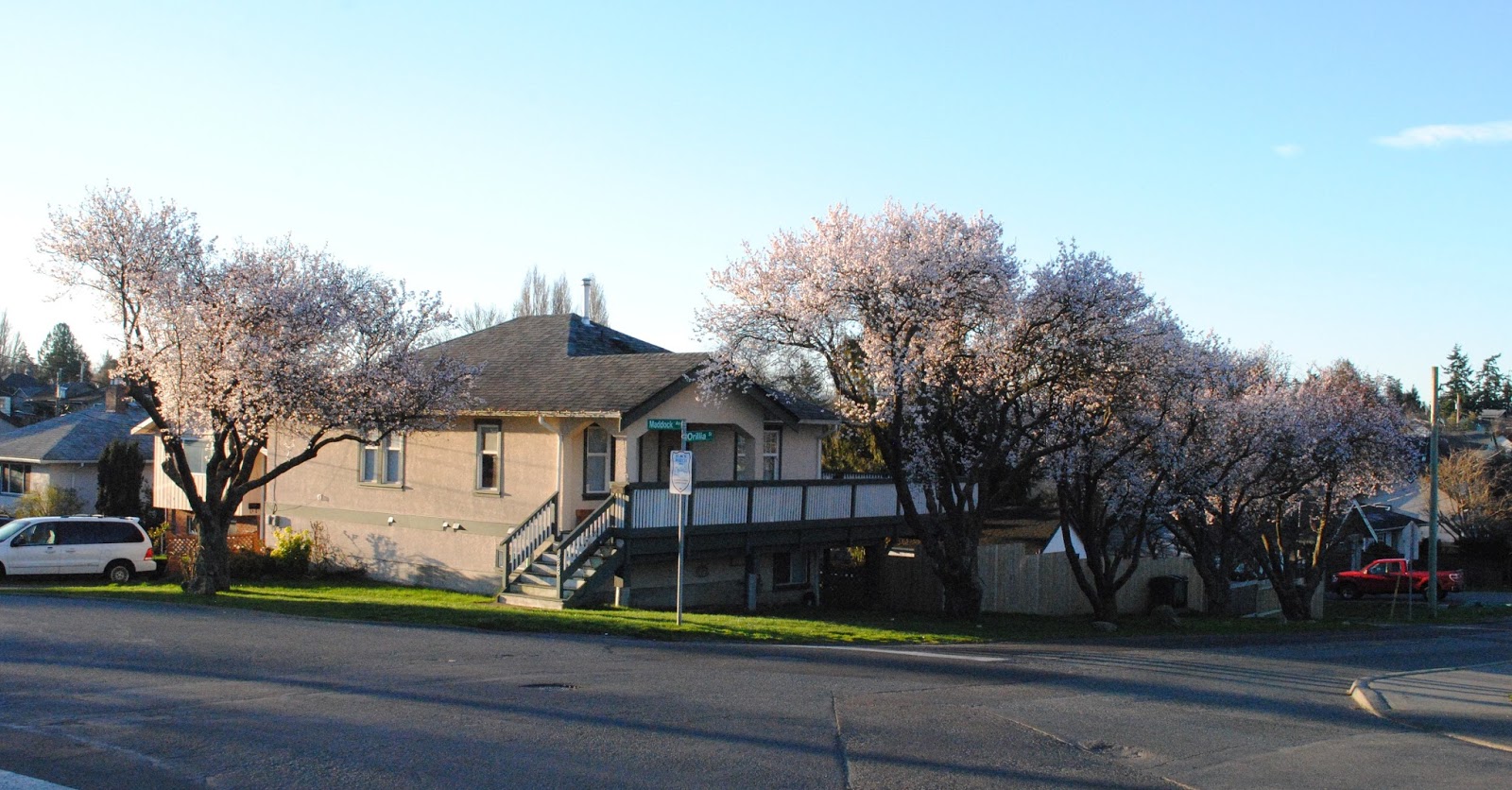 Victoria Vision My Street = Orillia Street