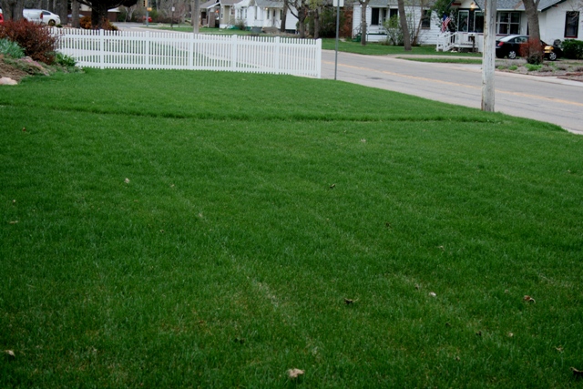 The Flower Bin: Now’s the time to feed your lawn.