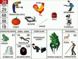Tafsir Mimpi Ayam Bertarung Dengan Babi Prediksi Nomor Togel 2d 3d 4d Primbon Togel Tafsir Mimpi Buku Primbon Tafsir Mimpi