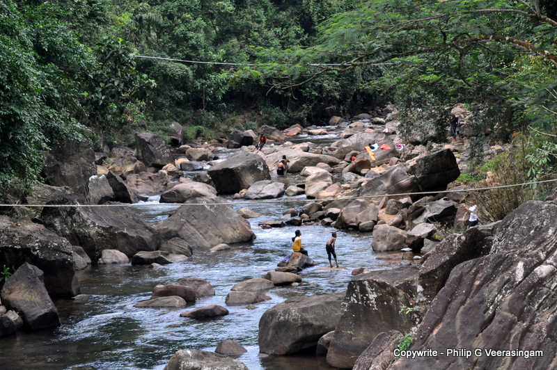 philipveerasingam: 'Rath,ganga' off Galaboda Estate, Rathnapura, Sri Lanka.