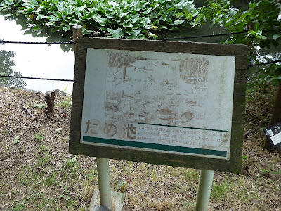 花博記念公園鶴見緑地　ため池
