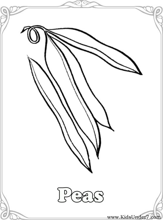 vegtable coloring pages - photo #15