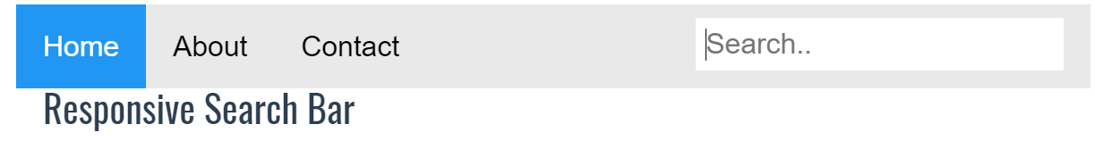 Responsive Search Bar HTML code - TechnicalRaji