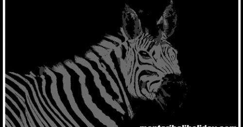 Tafsir Arti Mimpi Tentang Zebra Terlengkap Dan Penting Perlu Kamu Ketahui Mentari Bali Holiday Tafsir Arti Mimpi Tentang Zebra Terlengkap Dan Penting Perlu Kamu Ketahui Mentari Bali Holiday