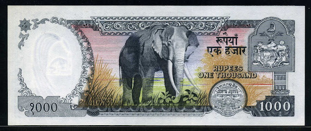 Nepal paper money currency 1000 Rupees bill