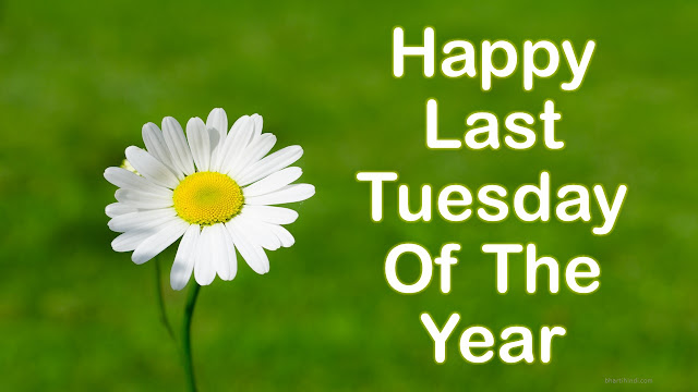 Last Tuesday Of The Year Happy Last Tuesday Of The Year 2018 Image
