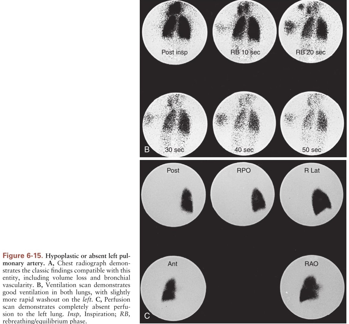 Перестраиваемый лазер. 3d сканер стоматологический. Наносекундный лазер. Сканер зуботехнический medit. Фр штрих-м-фр-к.