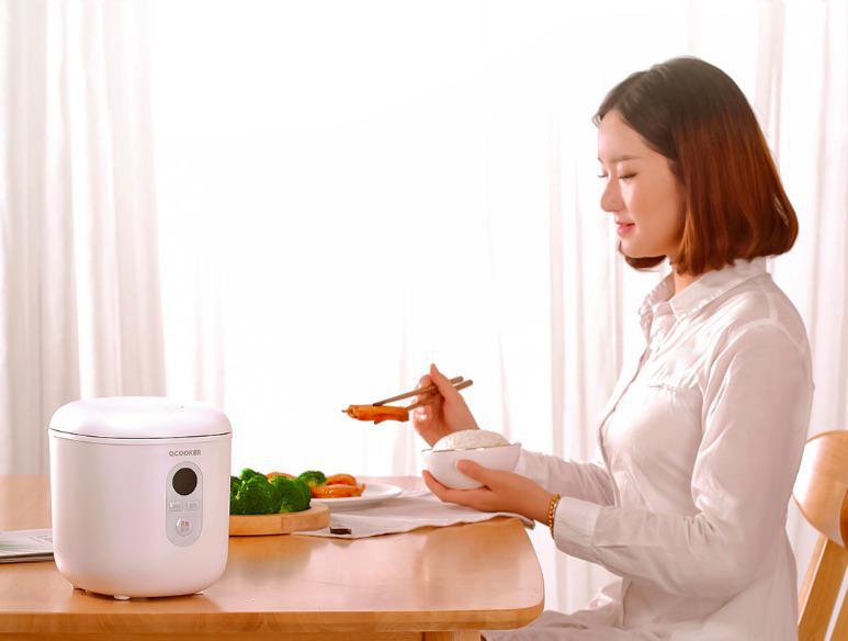xiaomi mini cooker xiaomi mini cooker