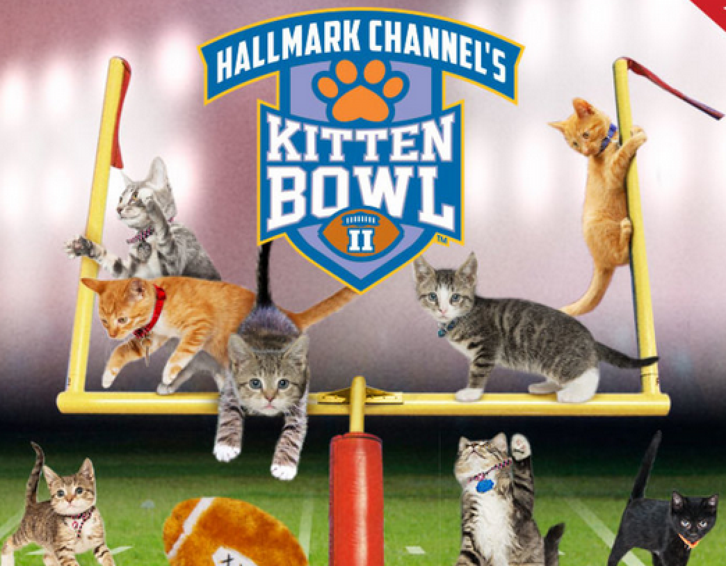 http://www.hallmarkchannel.com/kitten-bowl