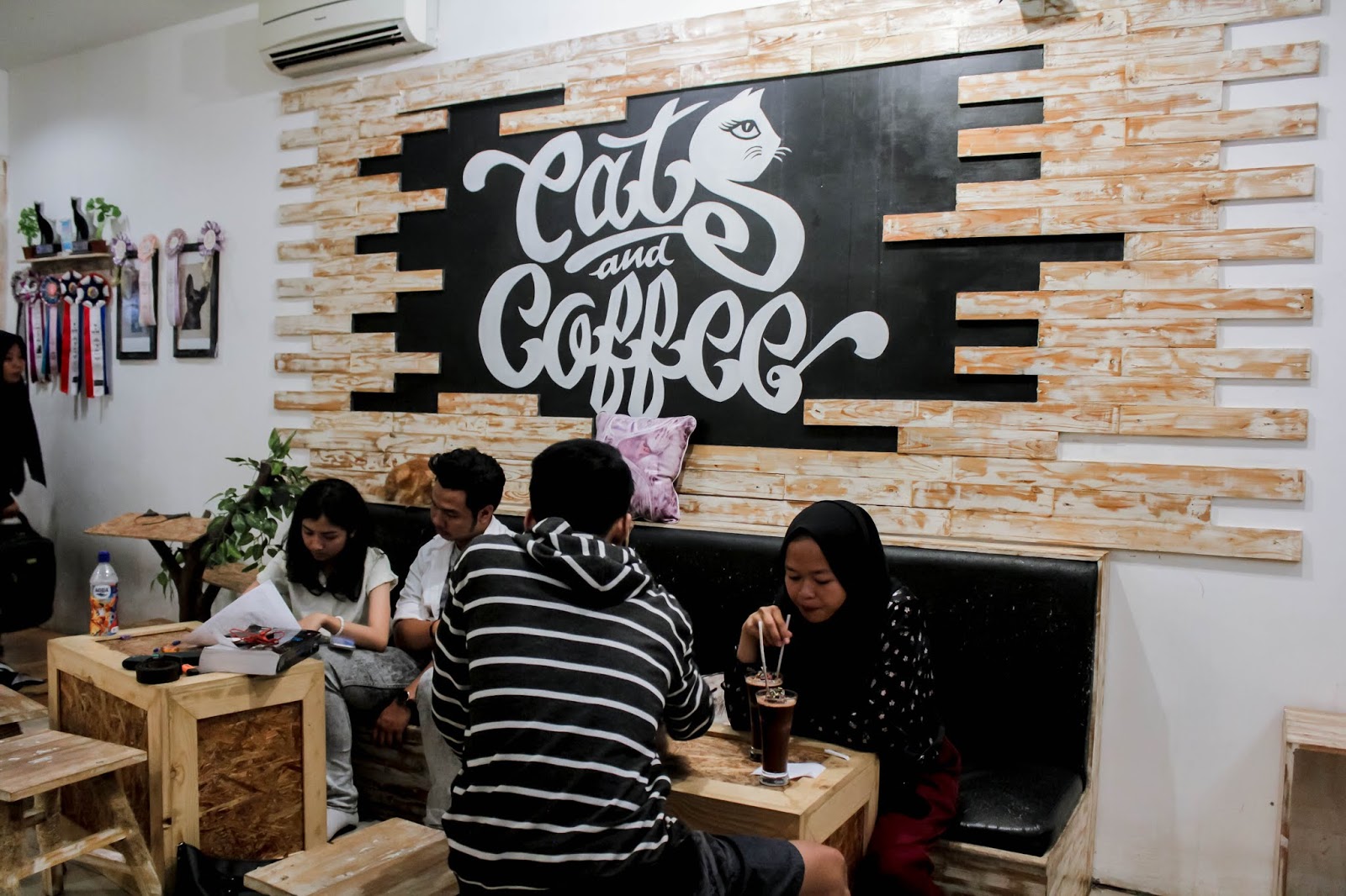 Cats And Coffee Cafe Pecinta Kucing Jogja Yogyakarta