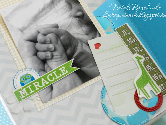 scrap album, handmade, fotoalbum, for newborn, scrap foto,handmadescrapalbums, dcwv