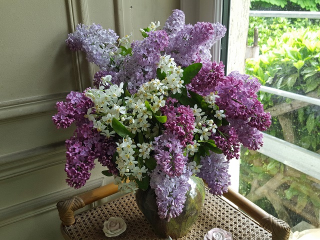 Nature The Place Where You Live Louis Spaeth Madame Lemoine