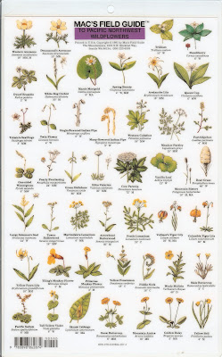 Mac’s Field Guide to Pacific Northwest Wildflowers