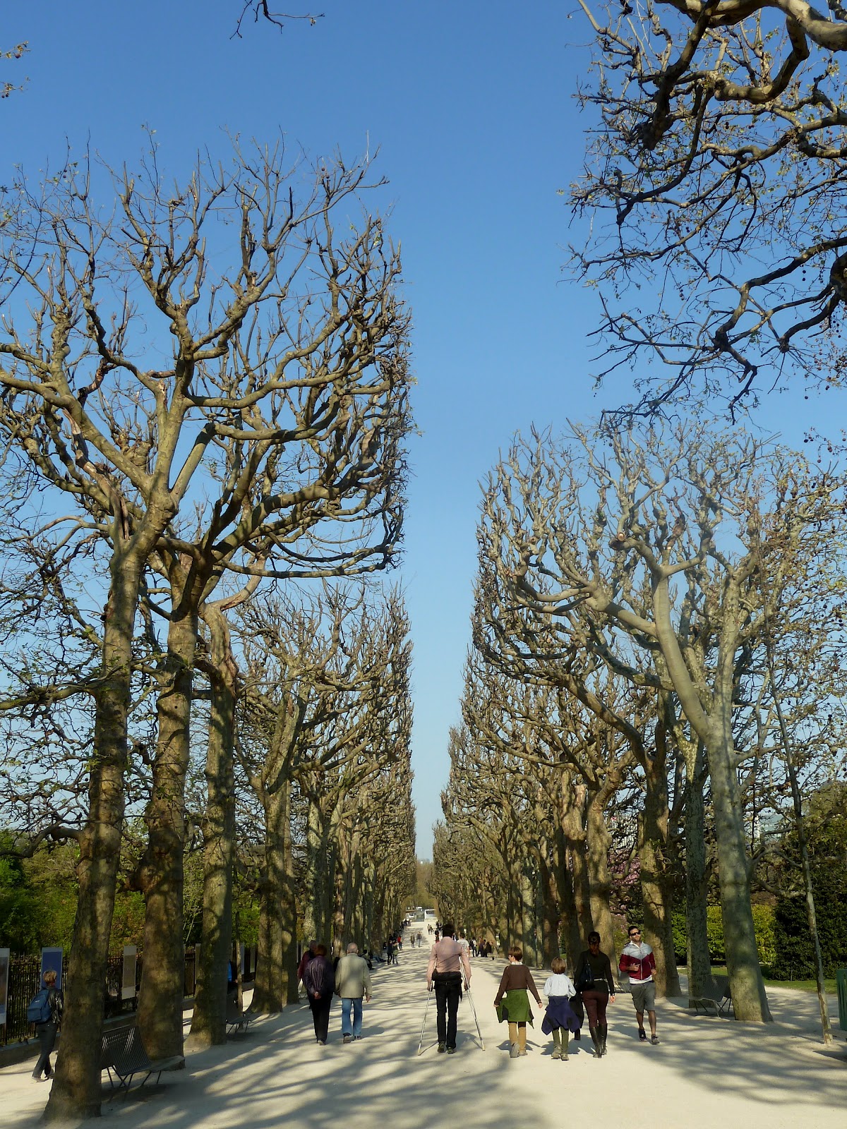 Kiwi S Birthday In Paris Jardin Des Plantes