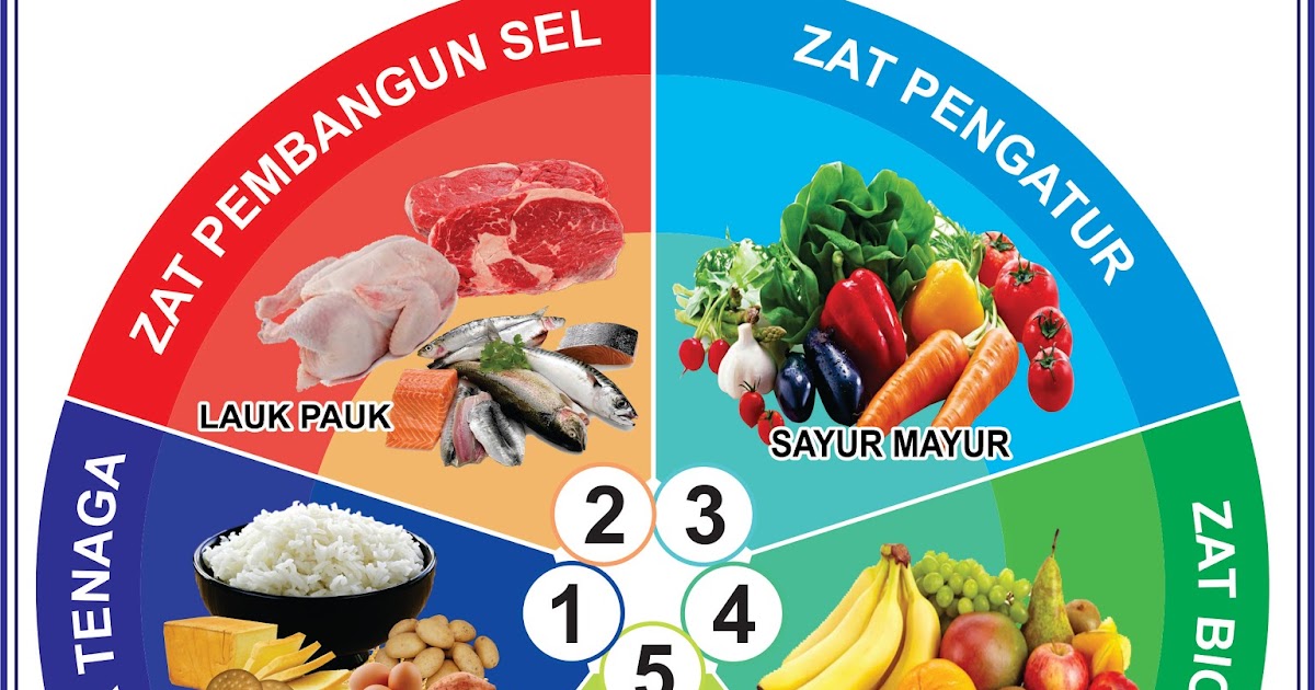 MATERI PRAMUKA ONLINE EMPAT SEHAT LIMA SEMPURNA + Grafik