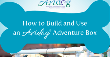 puppy adventure box frugal freebies freebie puppy adventure box all puppy adventure box frugal freebies freebie puppy adventure box all