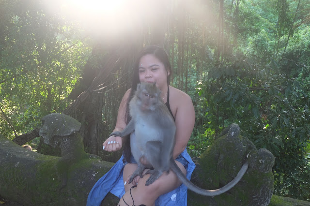 UBUD MONKEY FOREST