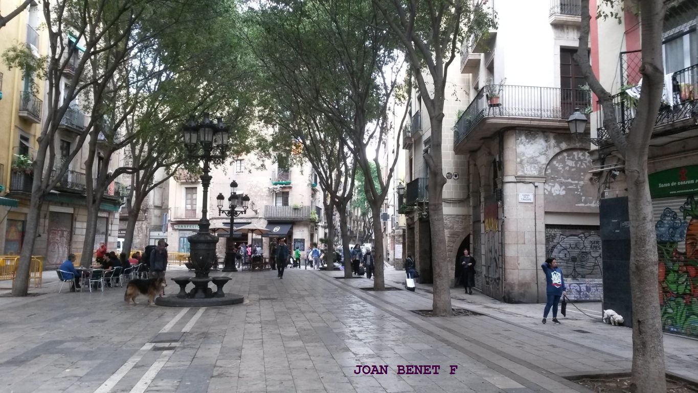 FORA DEL CAMÍ Carretera de Ribes de Barcelona a Ribes