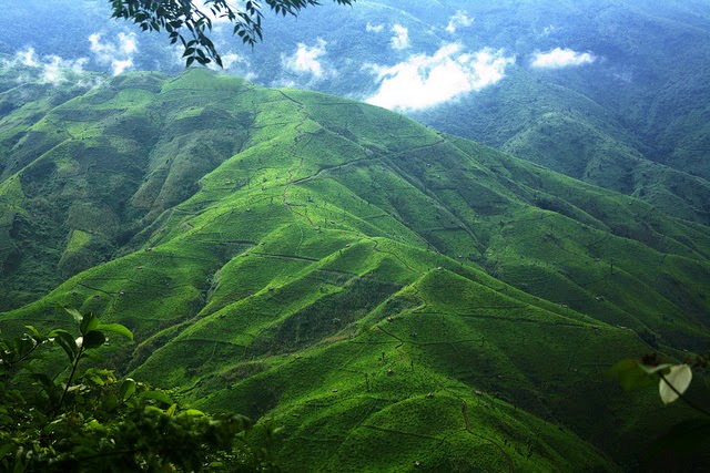Naga Photo Blog Jhum Field In Tuensang Nagaland naga-photo-blog-jhum-field-in-tuensang-nagaland