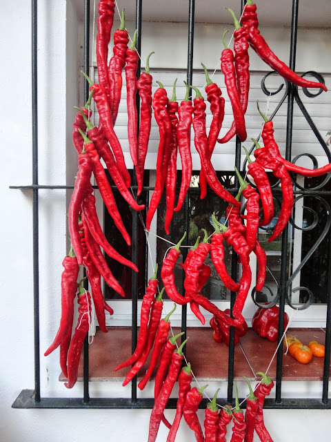 PIMIENTOS-CORNETAS ROJAS EN COLGADERO.