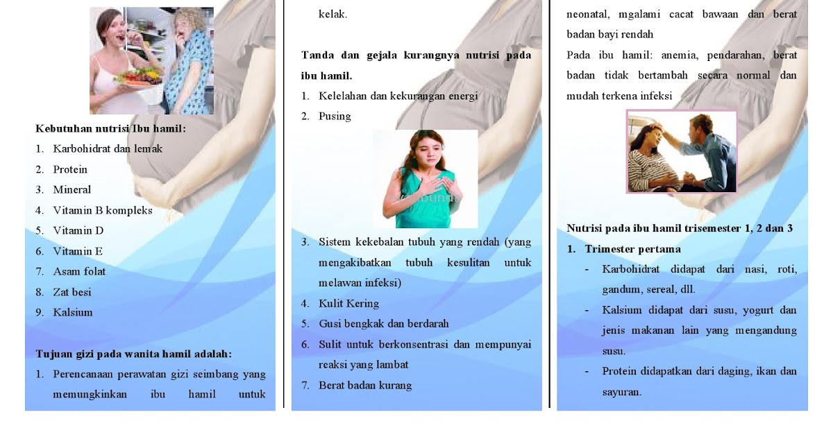 Sap Dan Leaflet Gizi Ibu Hamil Pdf Info Seputar Kehamilan