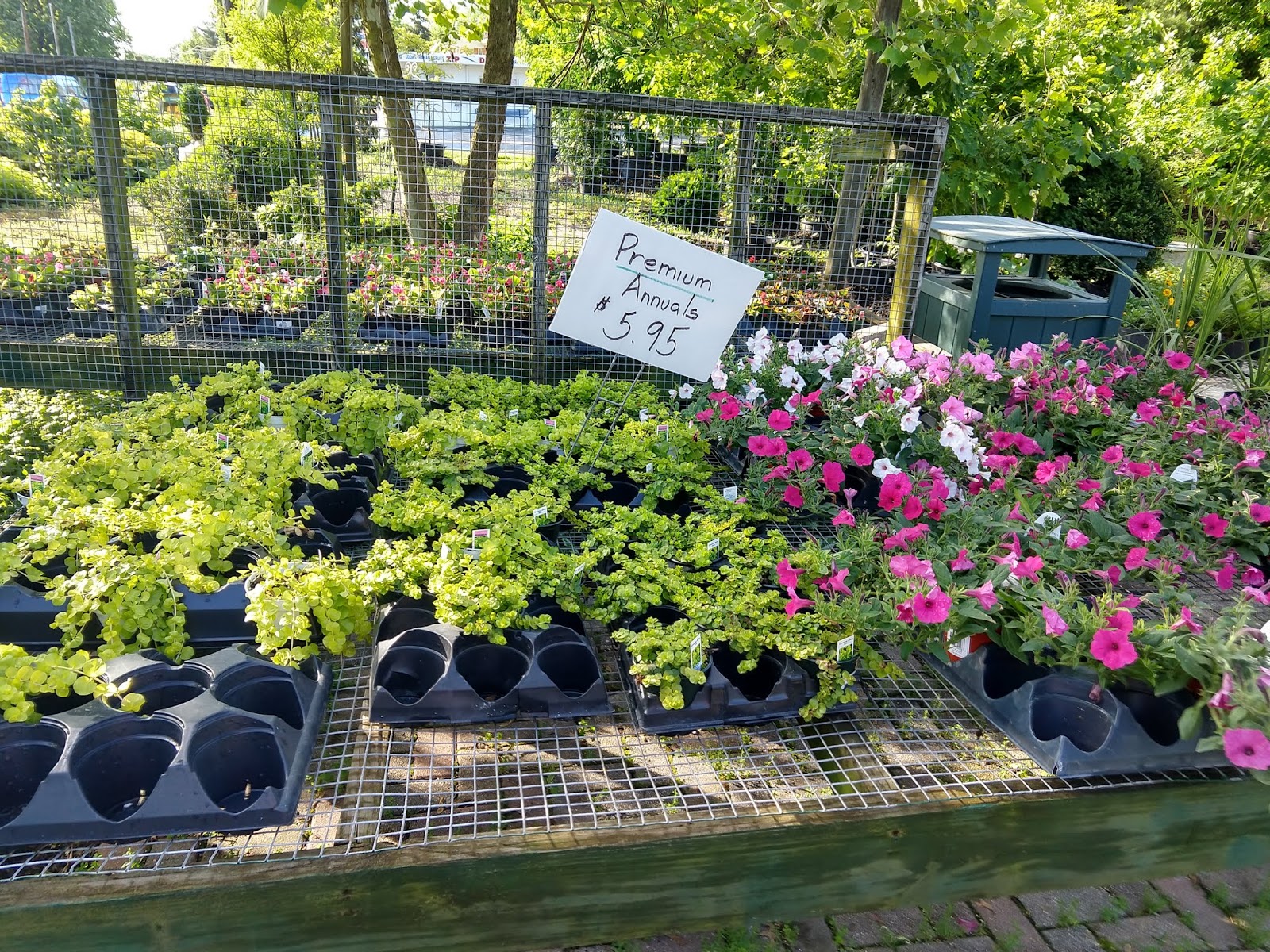 Peters Nursery & Garden Center